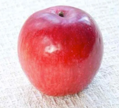 APPLE 'LIBERTY'